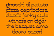 Jarwo - Reverse Contrast Typeface, a Sans Serif Font by Pekotype (Thumbnail 8 of 11)