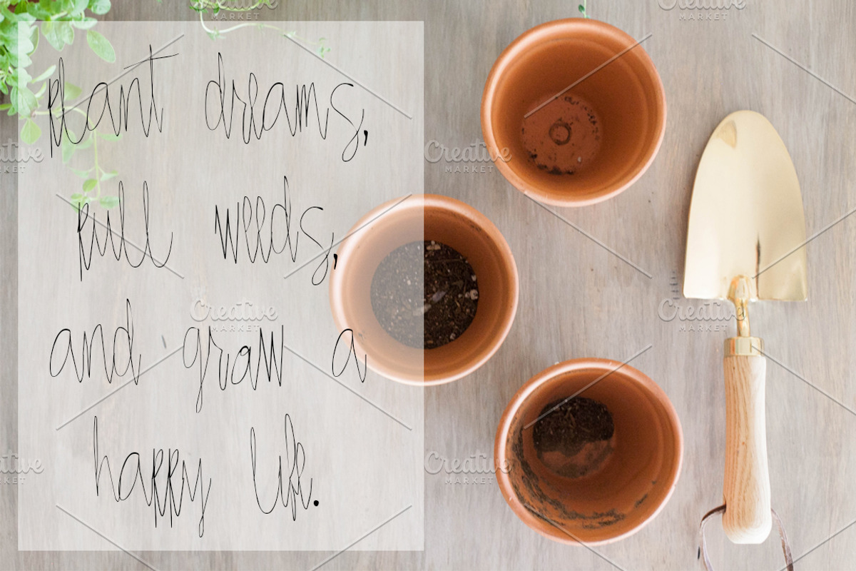 RIDGE Hand Lettered Font preview 4