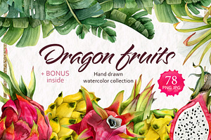 Tropical Dragon Fruit Pitaya Clipart