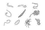 Breeds Worm Hand-Drawn Vol. 1, an Animal Illustration by SLAB! Design (Thumbnail 2 of 3)