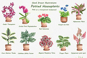 Houseplants Watercolor Clipart Vol6, an Object Illustration by BarvArt (Thumbnail 2 of 4)