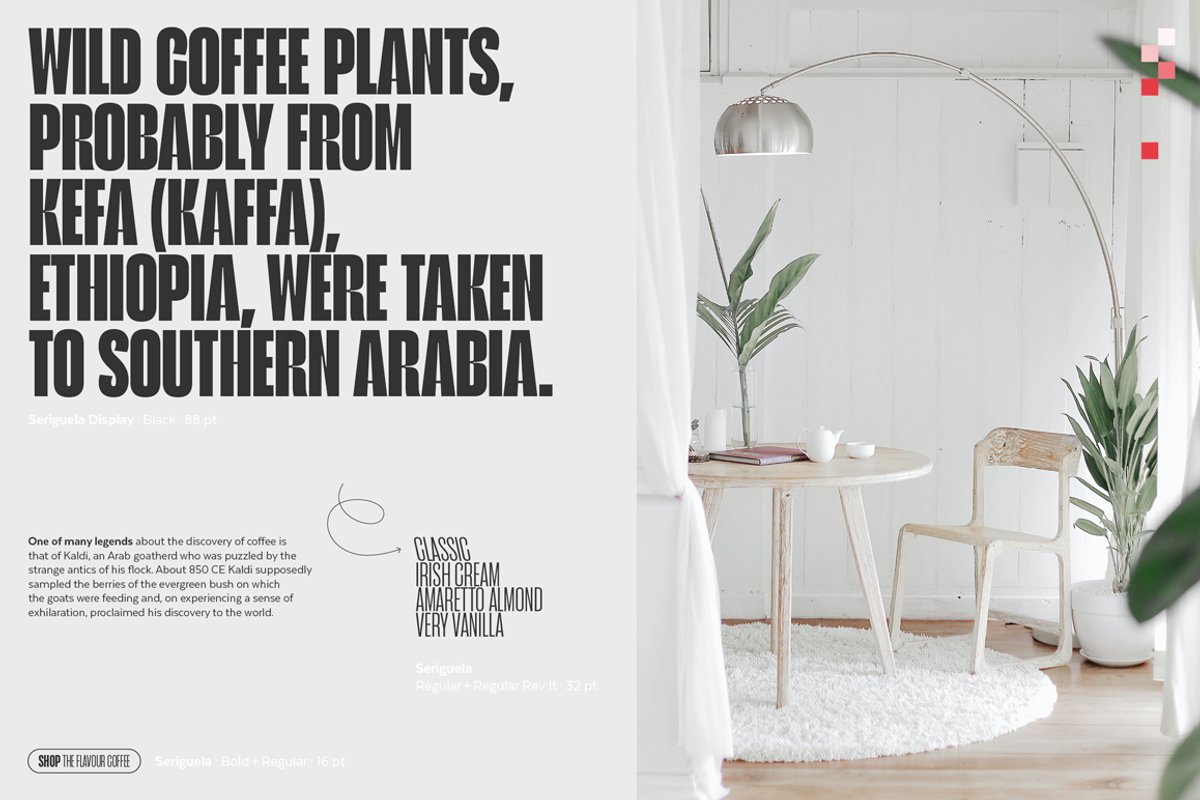 Seriguela - Family 50% off, a Sans Serif Font by Latinotype (Photo 5 of 15)