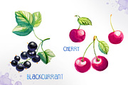 Watercolor berries, an Illustration by AlexGreenArt (Thumbnail 3 of 4)