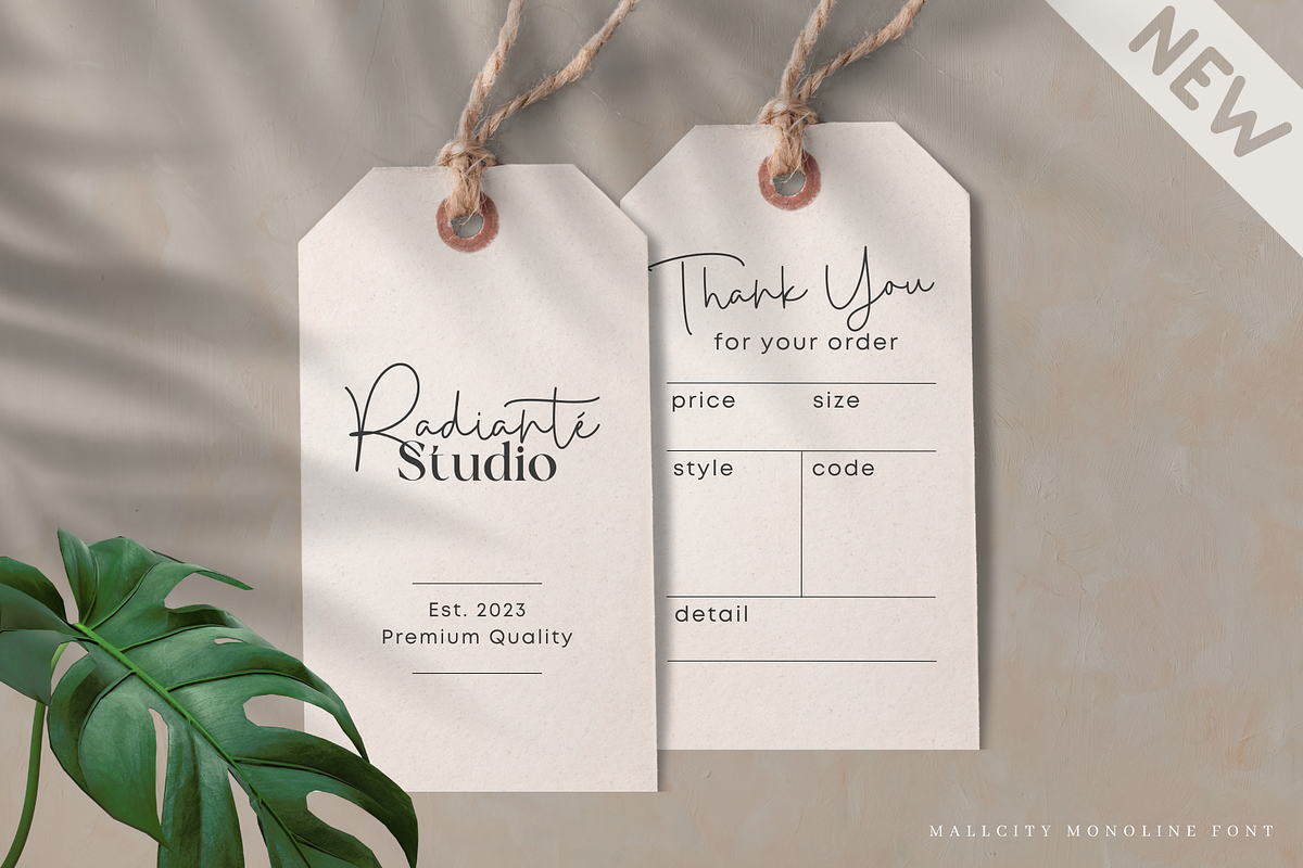 Mallcity - Monoline Script, a Script Font by Sronstudio (Photo 7 of 14)