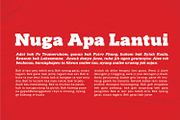 Nuga - Slab Serif, a Slab Serif Font by Ridha-38.lineart (Thumbnail 7 of 7)