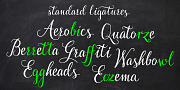 Rossellina, a Script Font by GRIN3 (Nowak) (Thumbnail 4 of 8)