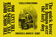 Pronema - Modern Serif, a Serif Font by tebaltipislab (Thumbnail 9 of 13)