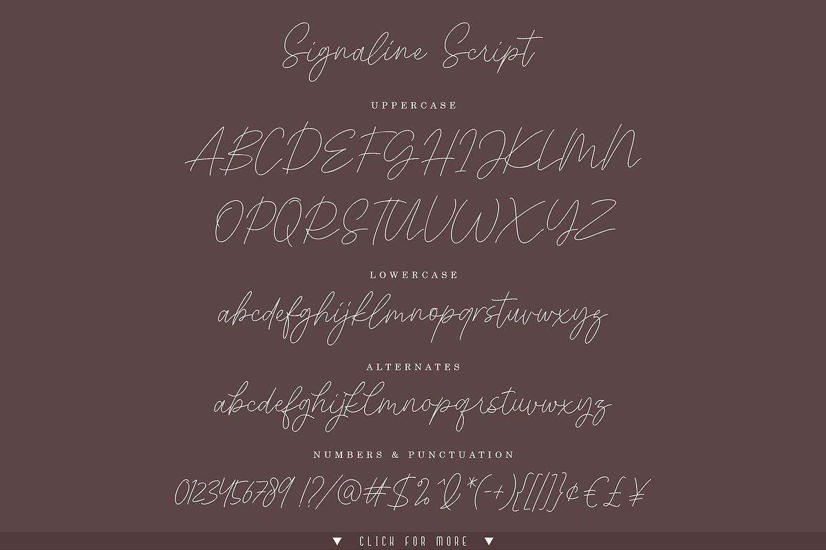 Signaline - Font Duo + Extras, a Script Font by Typehand Studio (Photo 12 of 16)