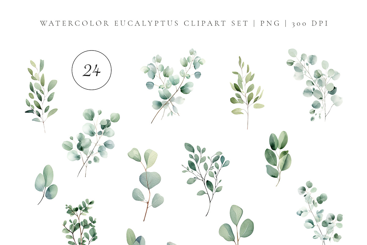 Eucalyptus Watercolor Collection, an Object Illustration by Pati Paints (Photo 2 of 11)