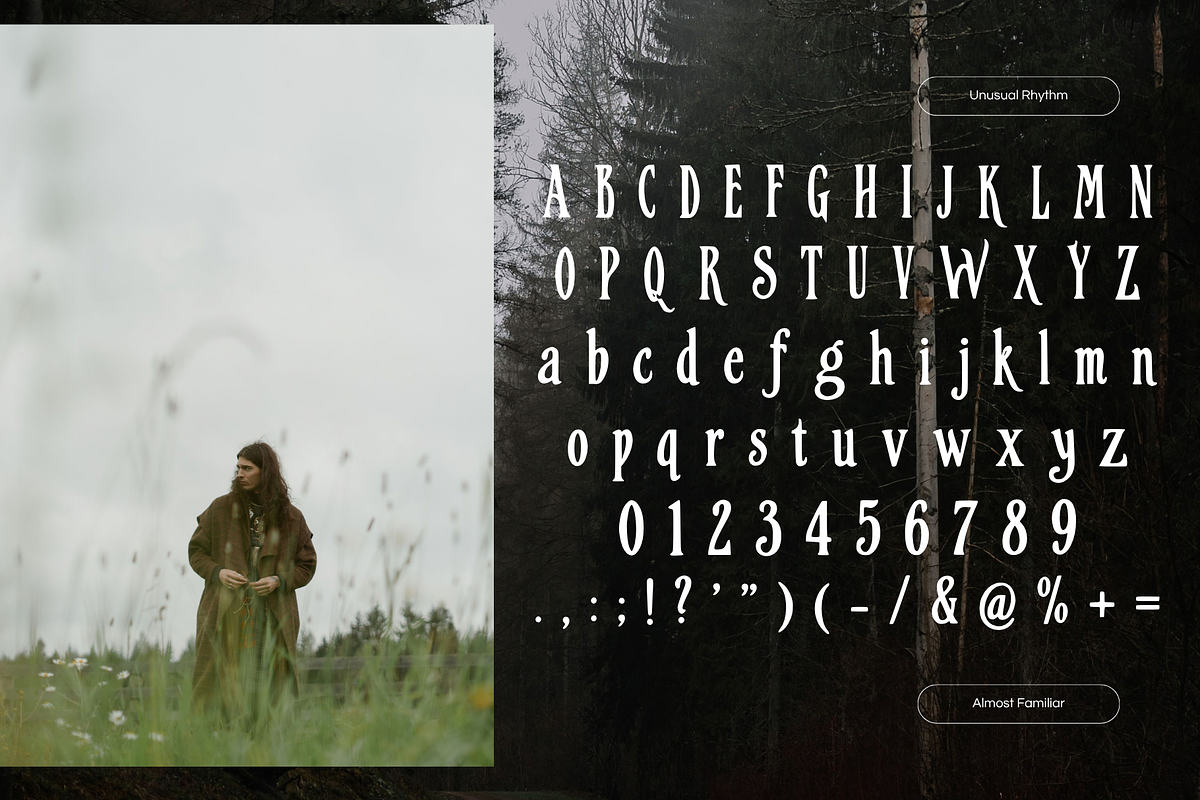 Unusual Decorative Display Serif, a Serif Font by foxsong (Photo 3 of 6)