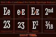 Stint Ultra Condensed Pro Family, a Serif Font by Stiggy & Sands (Thumbnail 4 of 5)