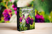 Vineyard Harvest Lightroom Presets, a Preset Add-On by AAA Presets (Thumbnail 2 of 16)