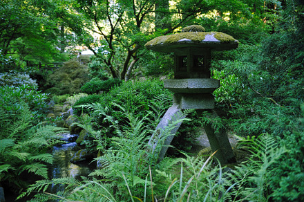 Peaceful zen garden