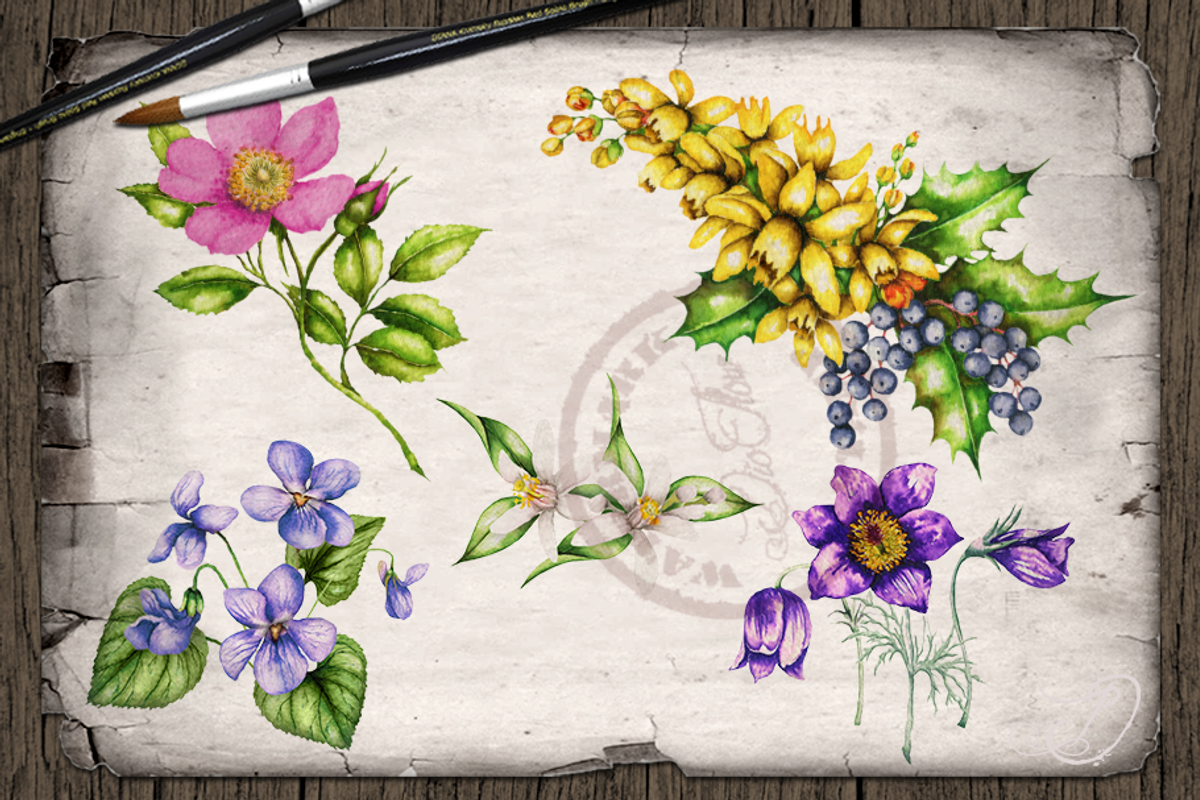 US State Flowers Part 5 Illustration, an Illustration by DioFlow (Photo 2 of 4)