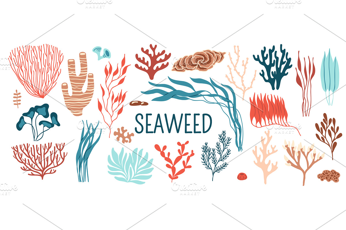 Underwater seaweed, sea algae, an Animal Illustration by Vector Tradition