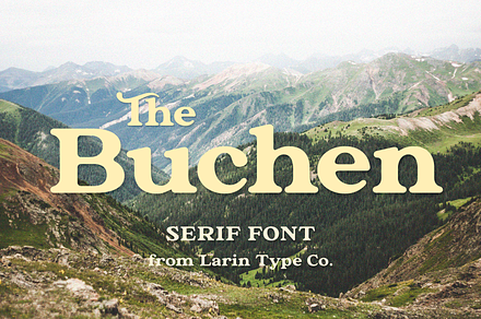 The Buchen, a Serif Font by Larin Type Co.