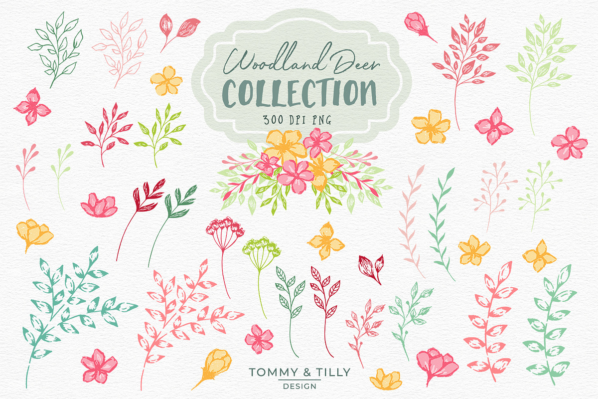 Woodland Deer Clipart, an Animal Illustration by Tommy & Tilly Design (Photo 5 of 6)