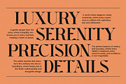 Gista Elegant Serif Font, a Serif Font by Perfectype (Thumbnail 2 of 8)