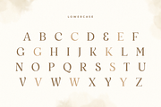 Salute - Modern Vintage Beauty Font, a Serif Font by Sensatype (Thumbnail 10 of 21)