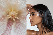 100 Wellness Stock Images, a Beauty & Fashion Photo by Digital Asset Co (Thumbnail 2 of 7)