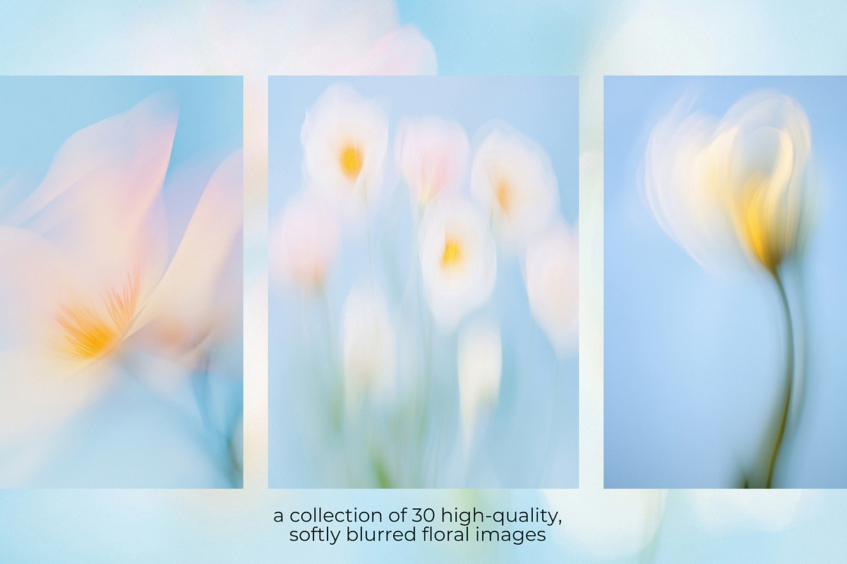 30 Soft Blurred Florals Backgrounds, a Background Graphic by lerinartstudio (Photo 2 of 13)