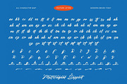 Feature Liften Modern Brush Font, a Script Font by stylishtype.co (Thumbnail 19 of 20)