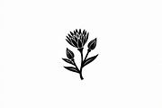 Black Floral Silhouette Set, an Illustration by balal (Thumbnail 11 of 21)