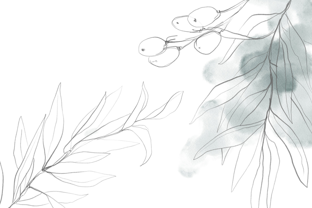 Botanical Line Art Collection, an Object Illustration by Colden Blue (Photo 10 of 10)