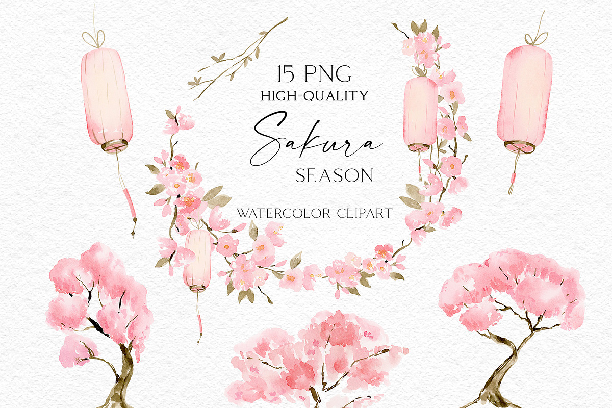 Sakura Season - Delicate watercolour, an Illustration by Olga Koelsch (Photo 8 of 11)