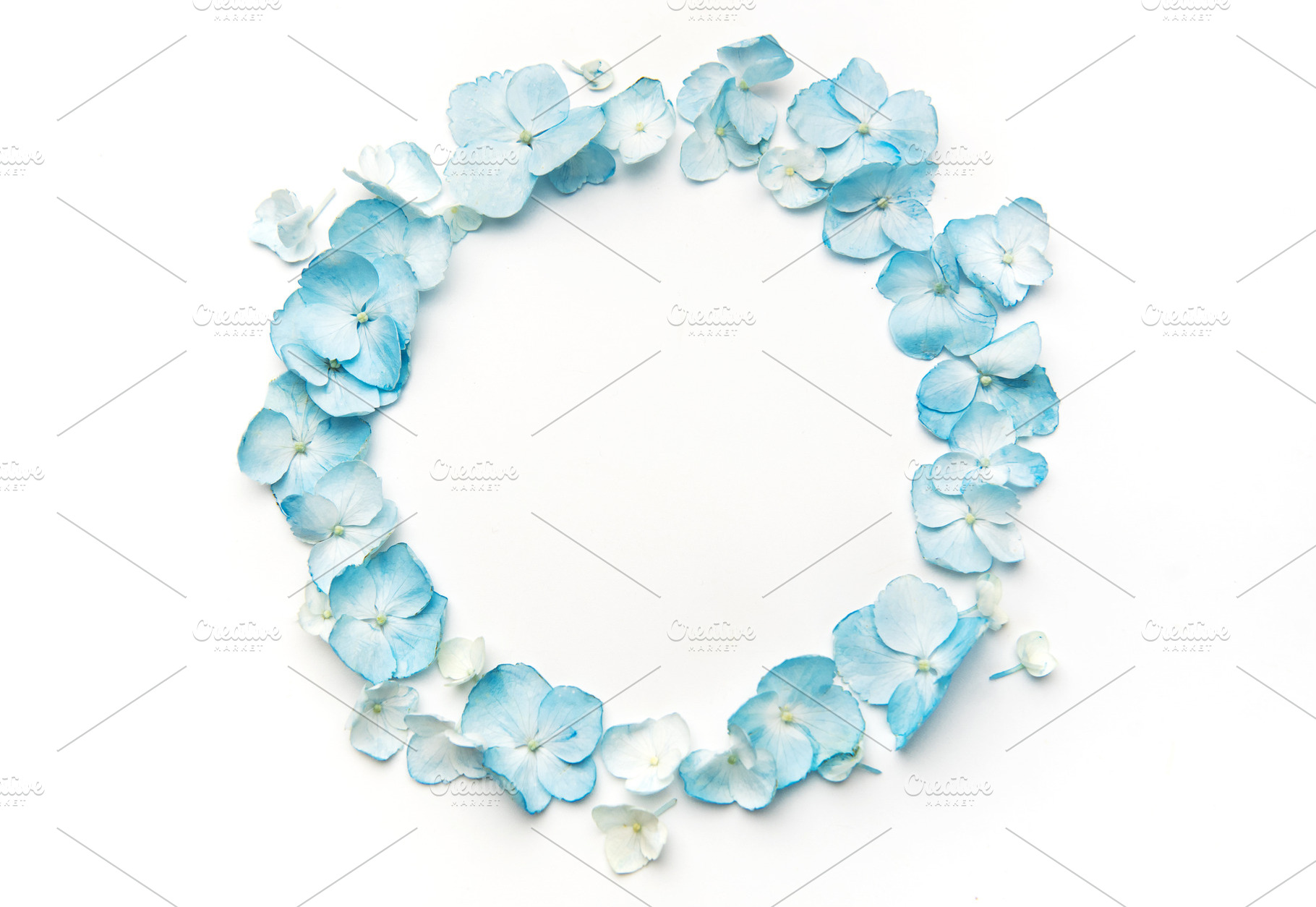 Blue hydrangea petals forming a floral circle frame, a Background Photo by Olena Rudo