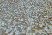 AUTUMN AND WINTER TEXTURE PACK, a Textures & Material 3D Model by Beatheart Creative Studio (Thumbnail 37 of 58)