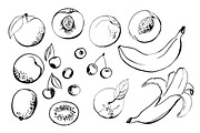 Fruits and berries vector sketch, a Food Illustration by irina.vaneeva (Thumbnail 9 of 11)