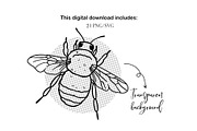 Insects and Bugs SVG PNG Bundle, an Animal Illustration by ArtGiftsStudio (Thumbnail 4 of 5)