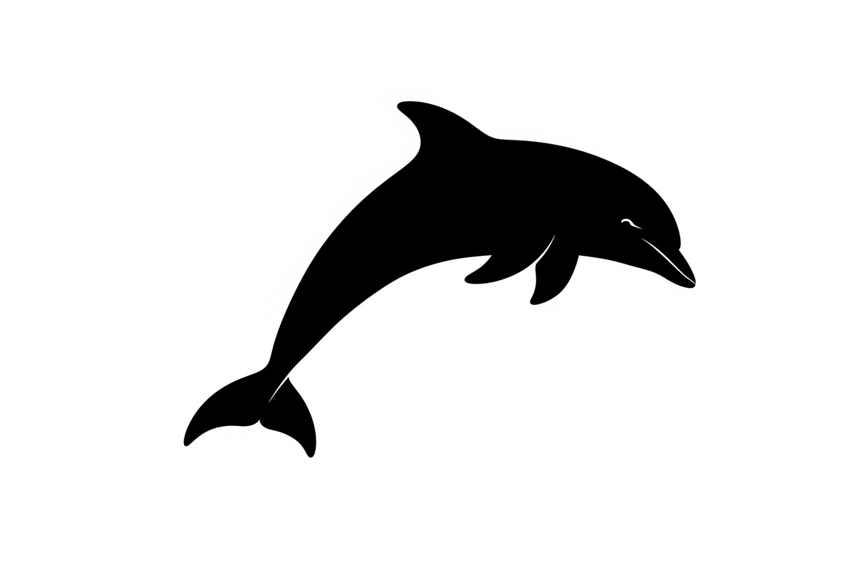 Dolphin Jumping Silhouette Vector bu, an Illustration by Designs_River (Photo 40 of 48)