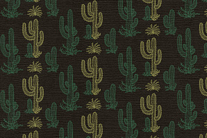 Cactus Patterns