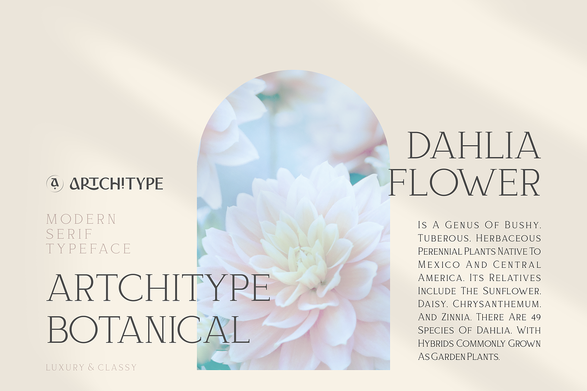 Bloomy Korea - Modern Serif Font, a Serif Font by Artchitype Studio (Photo 4 of 12)