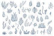 Vector sea creatures, an Object Graphic by CARROTDESIGN (Thumbnail 4 of 6)