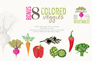 ORGANIC LOGO ELEMENTS – VEGETABLES, an Illustration by Friendly Label (Thumbnail 6 of 6)