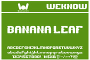 Banana Leaf font, a Font by weknow (Thumbnail 1 of 8)