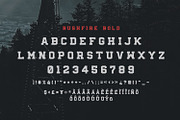 Bushfire - 4 Font Family, a Slab Serif Font by Greg Nicholls (Thumbnail 6 of 8)