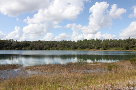 Lake in Gold Head Branch State Park