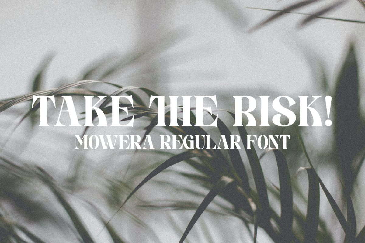 Mowera - Bold Serif, a Serif Font by tebaltipislab (Photo 8 of 15)
