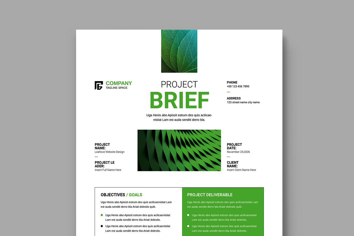 Project Brief Template Layout, a Brochure Template by MightyDesign (Photo 2 of 8)