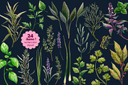 HERBS watercolor clip art set, a Graphic by AJDA ART (Thumbnail 2 of 3)