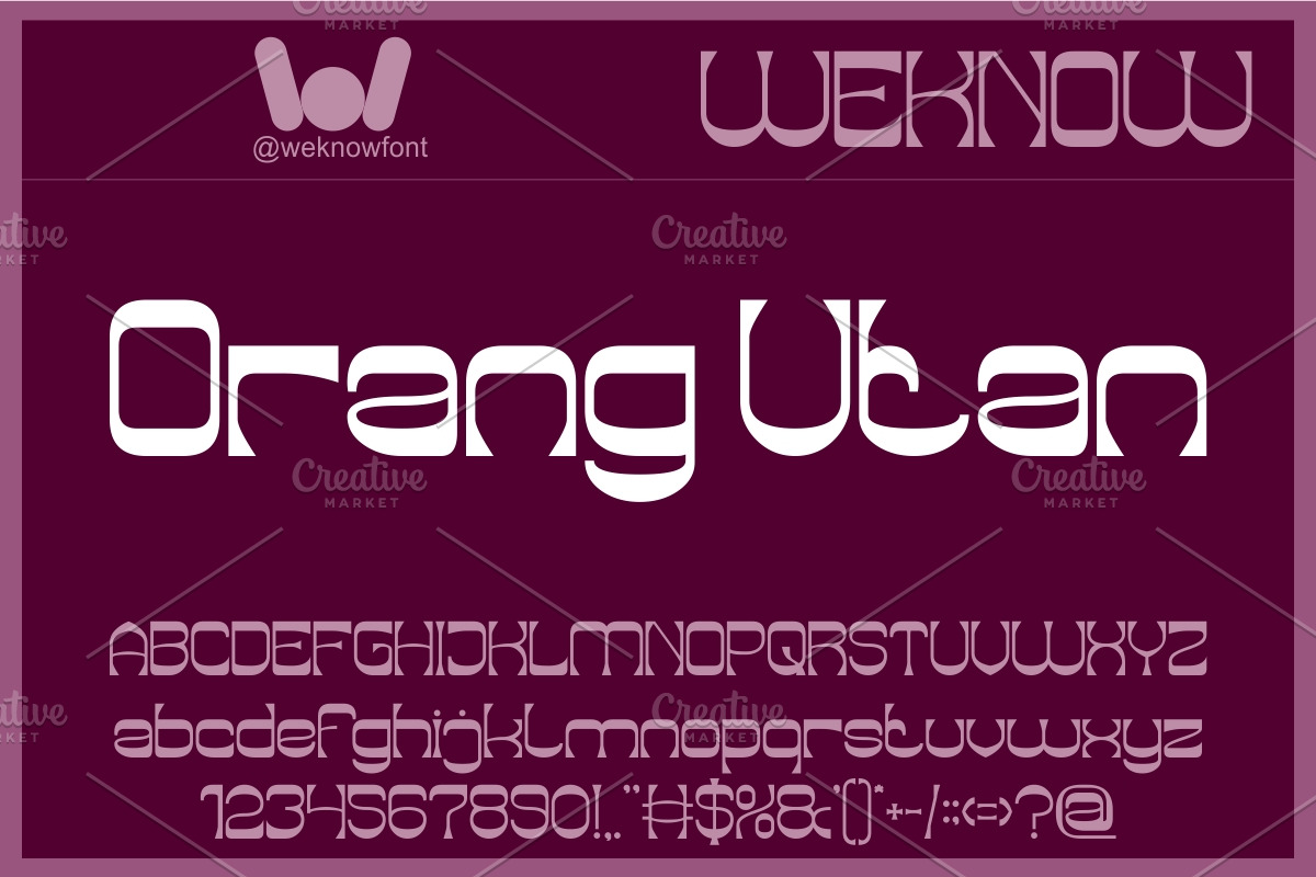Endangered Beauty font, a Sans Serif Font by weknow (Photo 2 of 8)