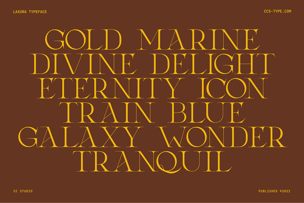Laxura – Elegant Ligature Serif Font, a Serif Font by CCS Type (Photo 11 of 16)