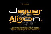Jaguar Alison Stretch Sans, a Sans Serif Font by Cruzine (Thumbnail 1 of 8)