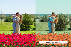 20 Spring Tones Lightroom Presets LU