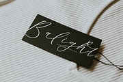 Bestlife Santuary Beautiful Script, a Script Font by stylishtype.co (Thumbnail 13 of 20)