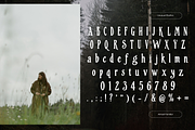 Unusual Decorative Display Serif, a Serif Font by foxsong (Thumbnail 3 of 6)